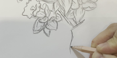 Close-up of hand sketching floral line art with pencil on white paper – botanical illustration in progress, ideal for fine art, drawing tutorials, or creative process content.